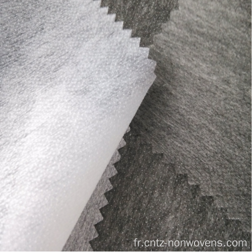 Matière en polyester en nylon 50% des intervenations fusibles non tissées